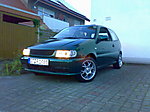 Forti's Polo 6N