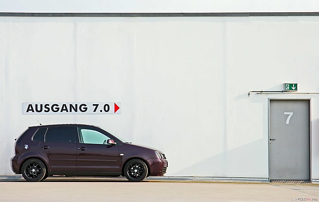 VW Polo 9N