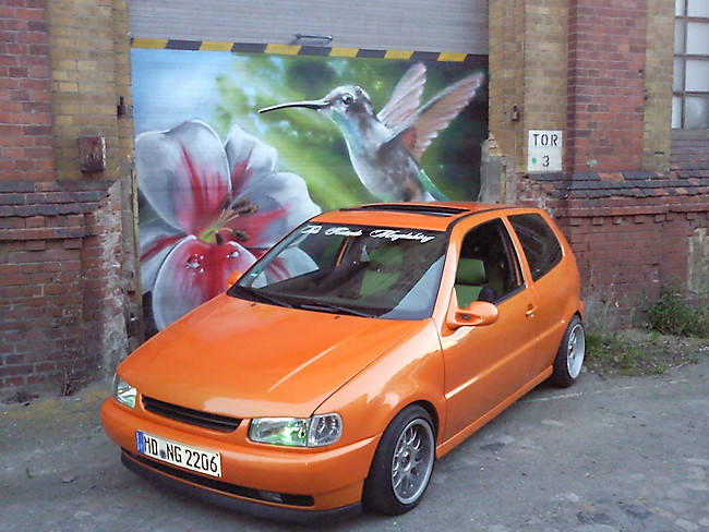 VW Polo 6N