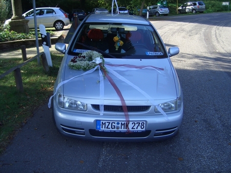 VW Polo 6N