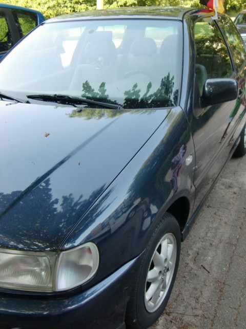 VW Polo 6N