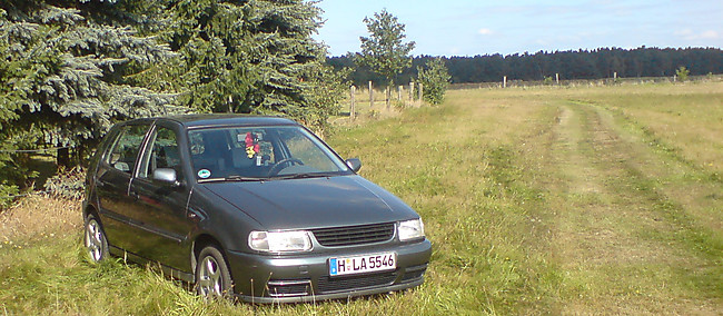 VW Polo 6N