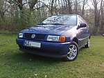 Polo 6N