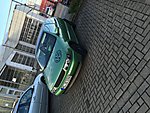 Polo 6N