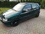 Polo 6N