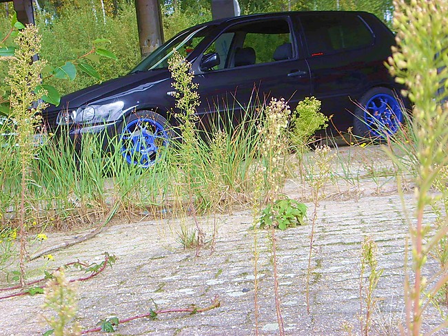 VW Polo 6N