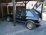 Bergcup's Polo 2F