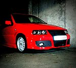 Polo 6N