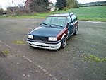 Polo 86C