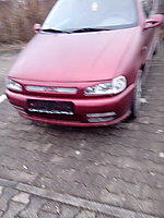 Polo 6N