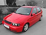 Polo 6N
