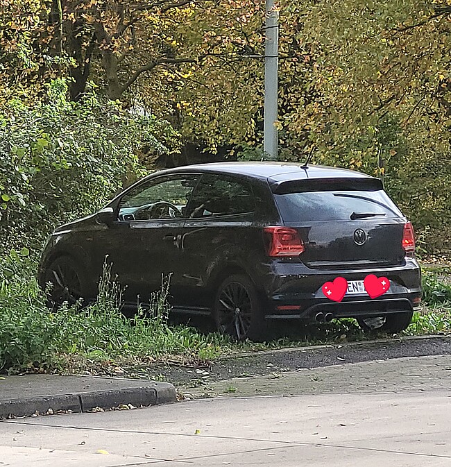 VW Polo 6R