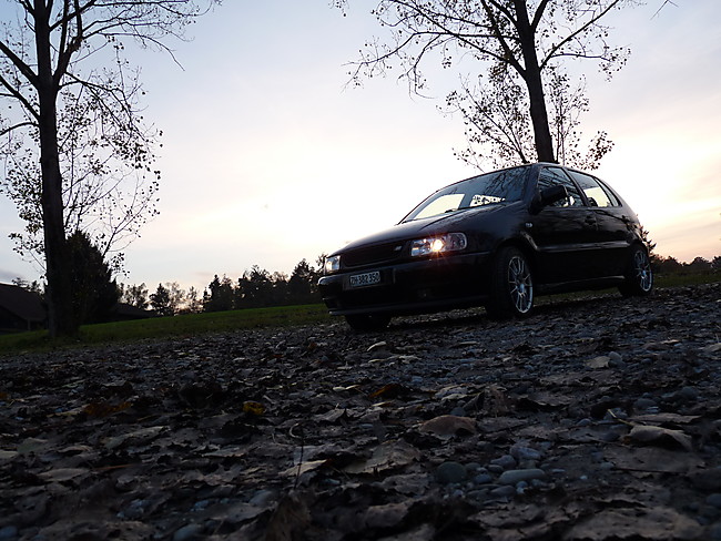 VW Polo 6N