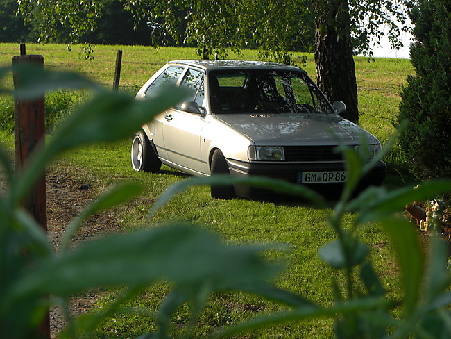 VW Polo 2F