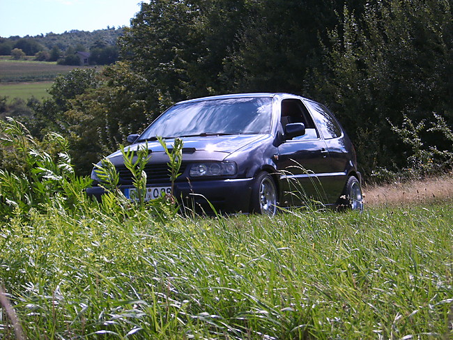 VW Polo 6N