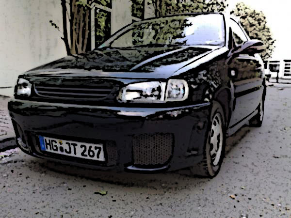 VW Polo 6N