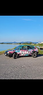 SW-Dummy's Polo 86C