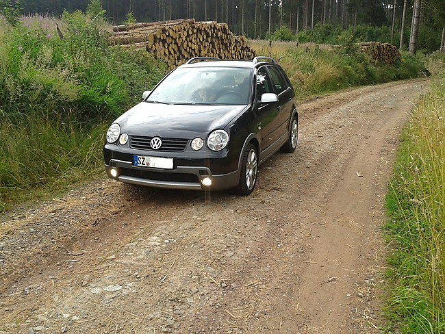 VW Polo 9N