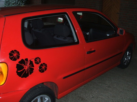 VW Polo 6N