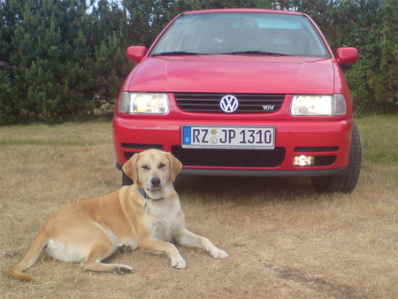 VW Polo 6N