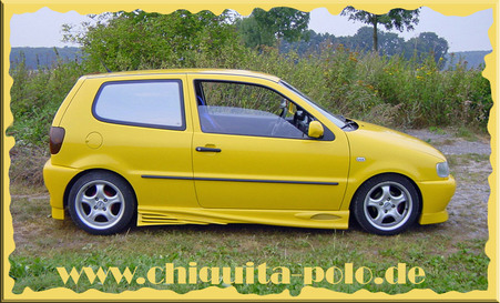 VW Polo 6N