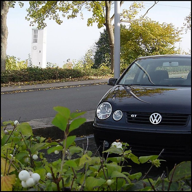 VW Polo 9N