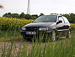 Polo 6N