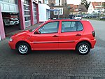 Polo 6N