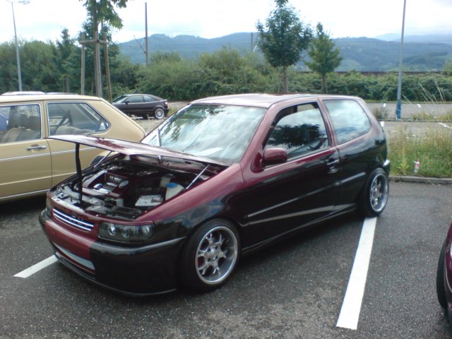 VW Polo 6N