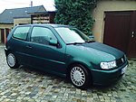 Polo 6N