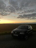 michispolo's Polo 6N2
