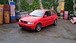 Polo 6N