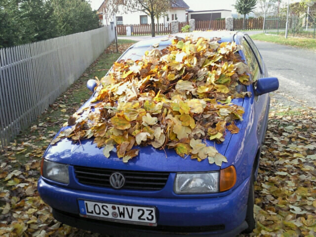 VW Polo 6N