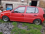 Polo 6N