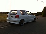 Polo 6N