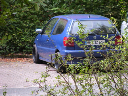 VW Polo 6N