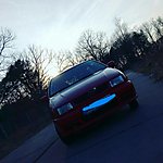 Polo 6N