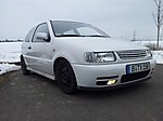 Polo 6N