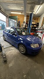 mckm273's Polo 6N2