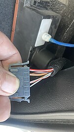 IMG_4494.JPEG