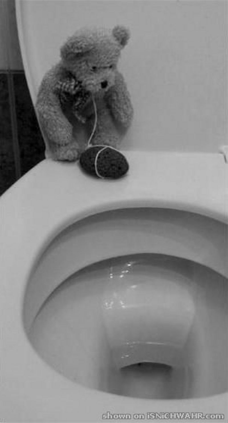 Anhang ID 22398 - isnichwahr.de.suicideteddy.jpg