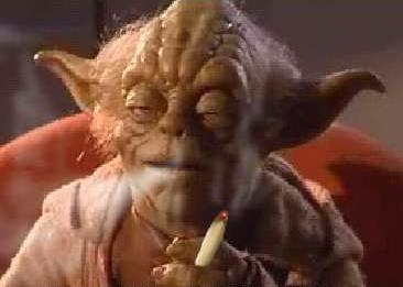 Anhang ID 15323 - yoda.JPG