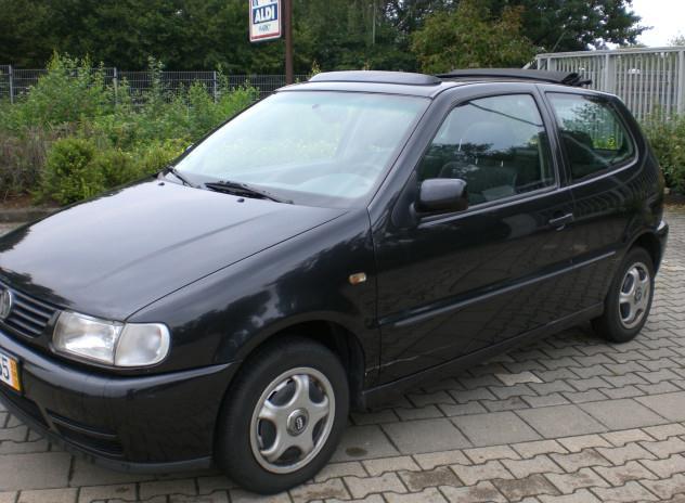 Anhang ID 143876 - Polo.jpg