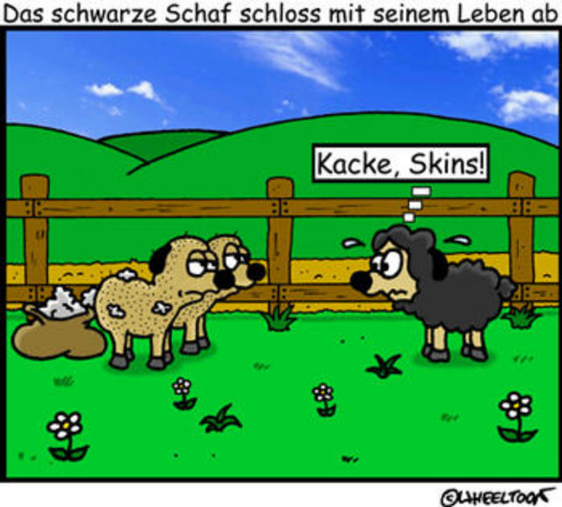 Anhang ID 23797 - skinschaf1vs.jpg
