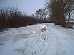 k-eWinter 010.jpg