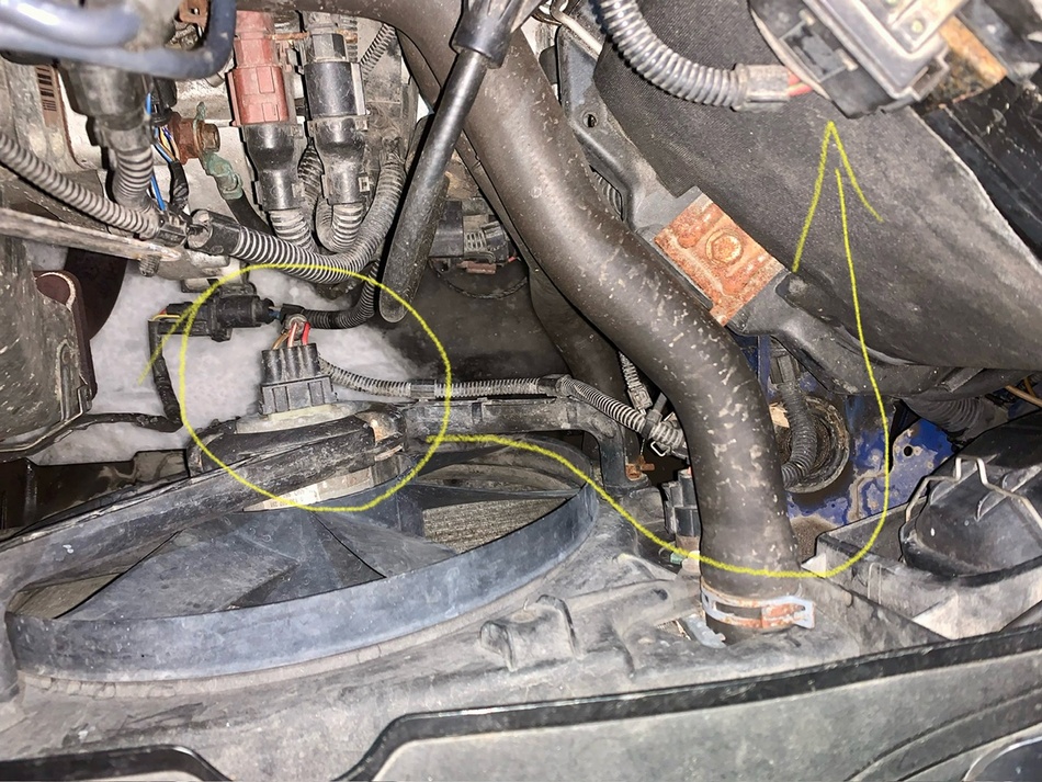 Anhang ID 206181 - IMG_2222.jpeg