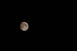 Mond10.09.11.jpg