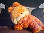 DSCI0022.JPG