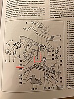 IMG_6456.jpeg