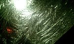 IMAG0066.jpg